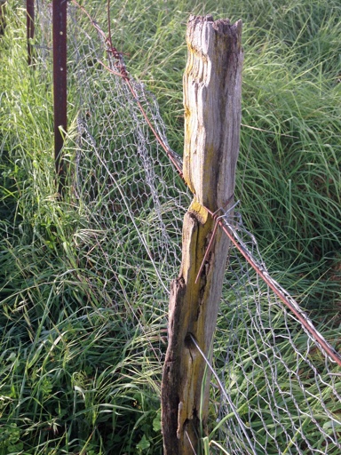 Lots of room for improvement