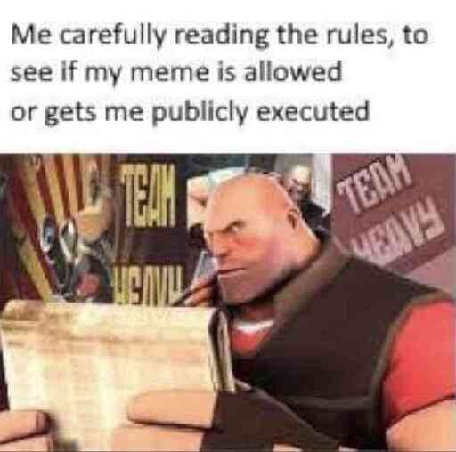 Me carefully reading the rules, to see if my meme is allowed or gets me publicly executed.