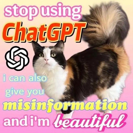 A cat with "stop using ChatGPT - i can also give you misinformation and i'm beautiful" on top