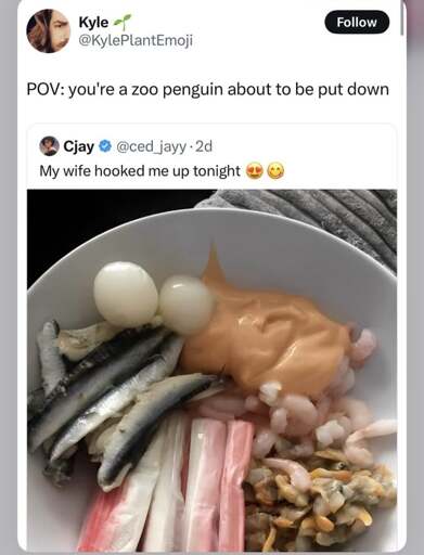 A screenshot of a post where user Cjay tags a picture of a seafood bowl with: My wife hooked me up tonight. The comment is Kyle saying: POV: you're a zoo penguin about to be put down.