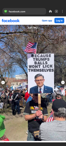 Best sign at "No Kings" 